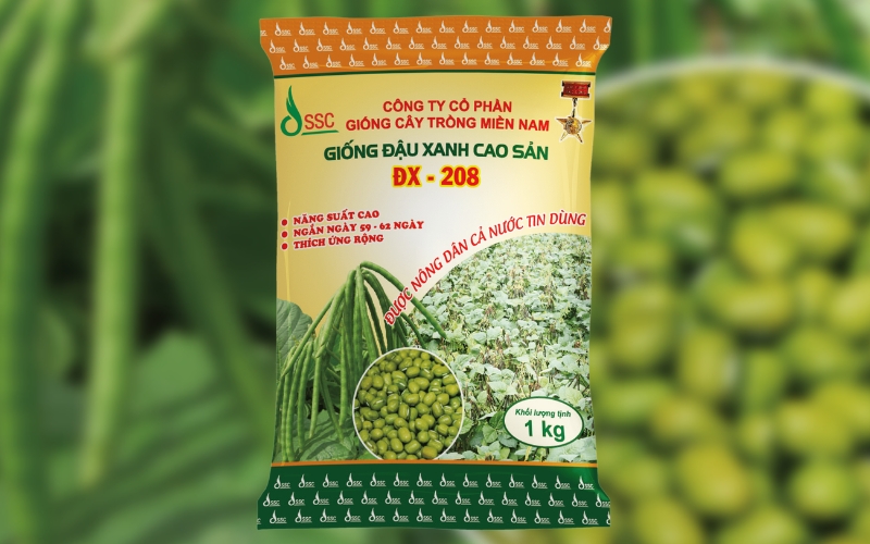 Chọn giống đậu xanh năng suất cao