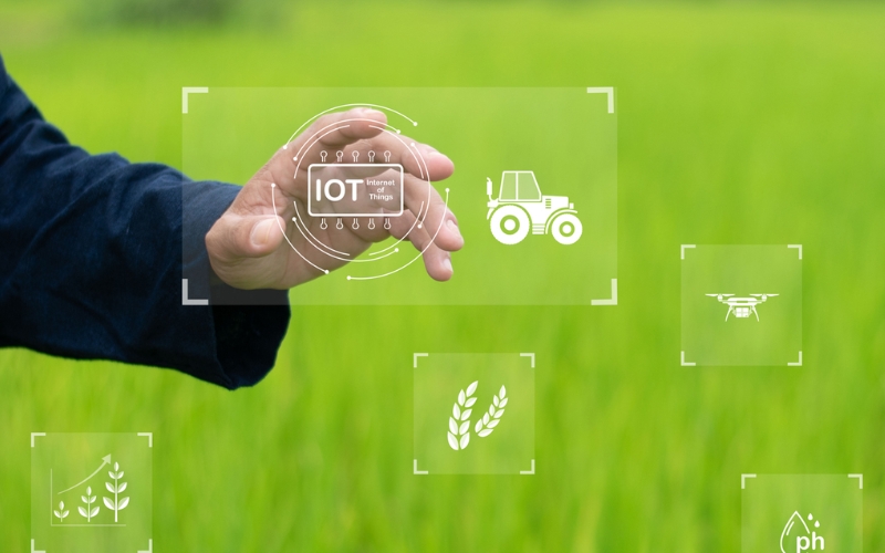 Cơ hội khi triển khai IoT trong nông nghiệp