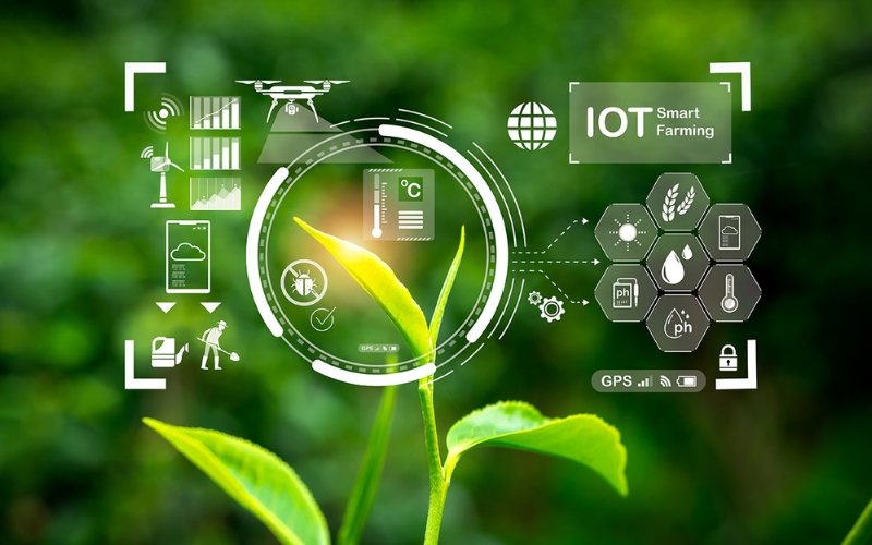 Đặc điểm cốt lõi của công nghệ IoT trong nông nghiệp