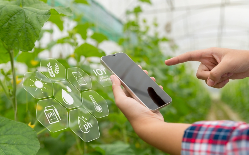 Giải pháp thúc đẩy công nghệ IoT trong nông nghiệp