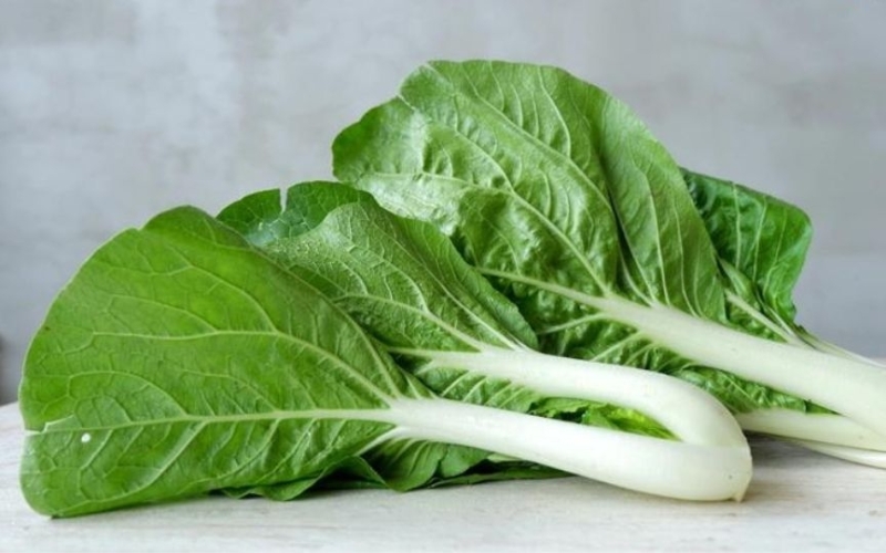 Hạt giống cải bẹ trắng