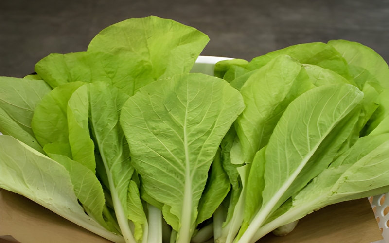 Hạt giống cải bẹ vàng