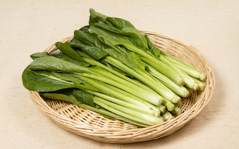 Hạt giống cải komatsuna Nhật Bản