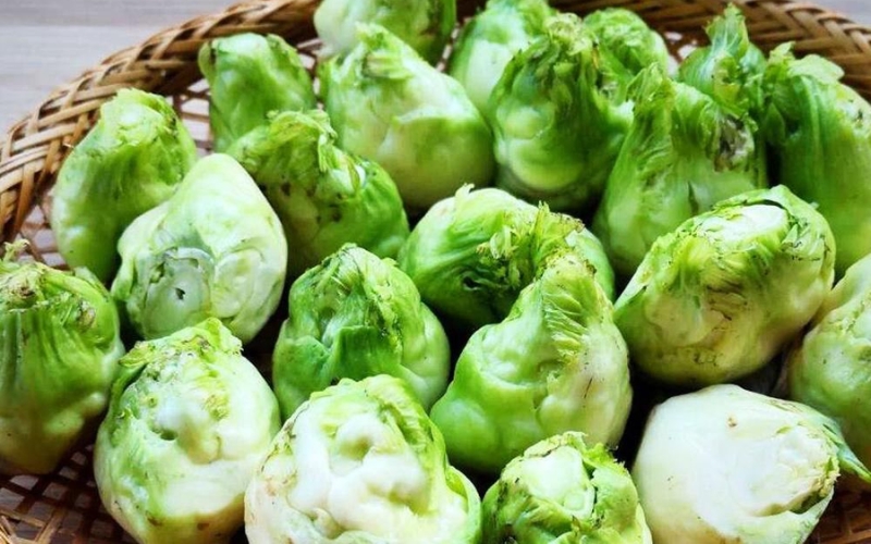 Hạt giống cải mầm đá
