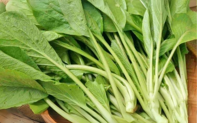Hạt giống cải ngọt