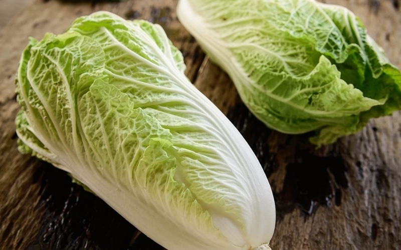 Hạt giống cải thảo