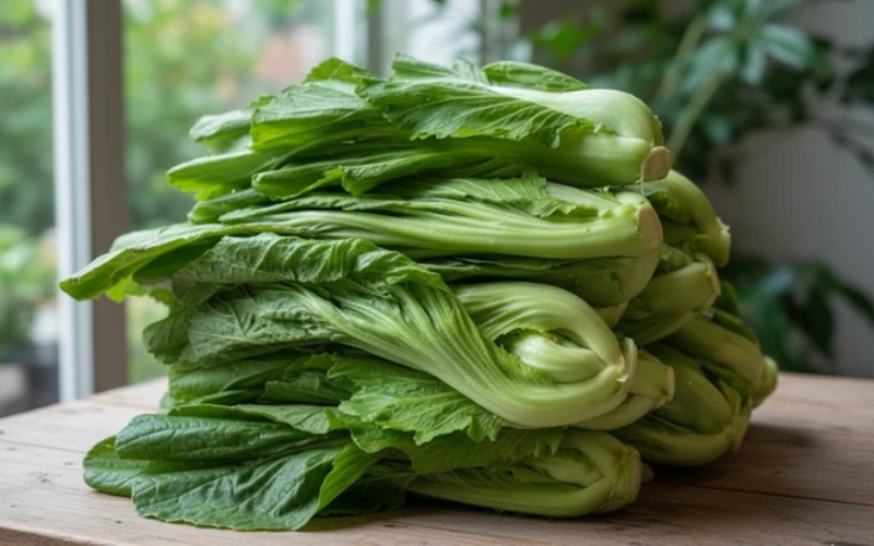 Hạt giống cải tùa xại