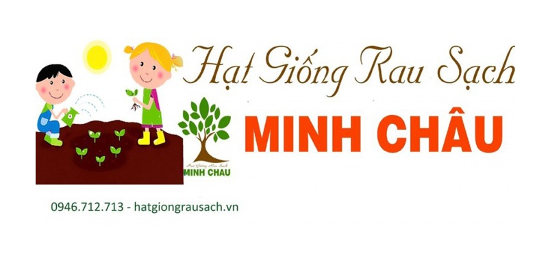 hạt giống rau sạch