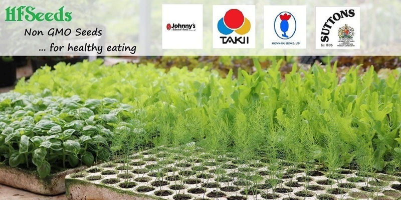 cửa hàng HFSeeds