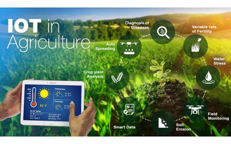 IoT trong nông nghiệp là gì