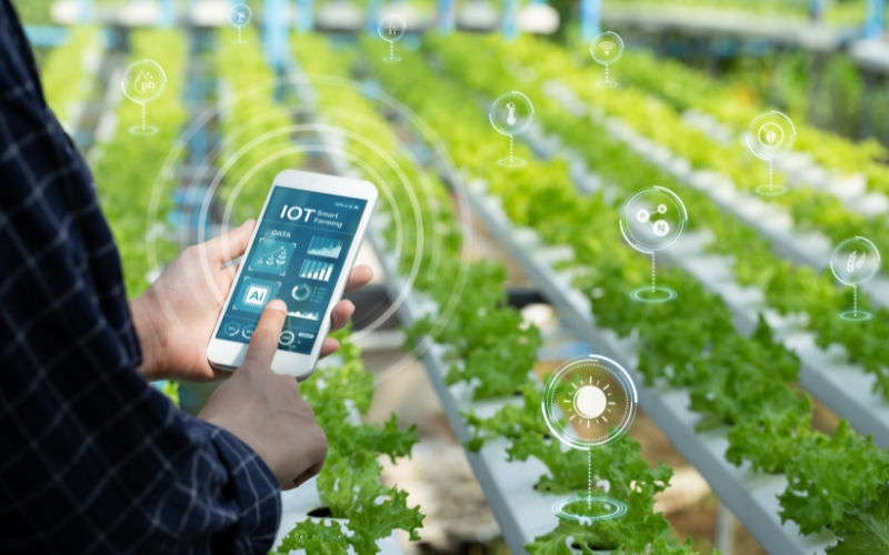 Lợi ích khi ứng dụng IoT trong nông nghiệp thông minh