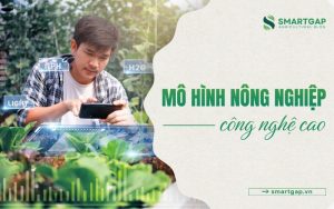 Mô hình nông nghiệp công nghệ cao