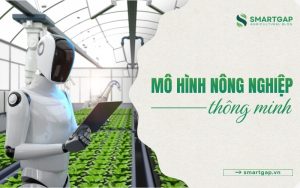 mô hình nông nghiệp thông minh