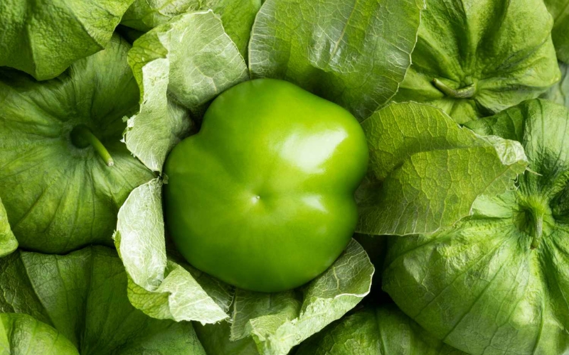 Một số lưu ý khi sử dụng tomatillo