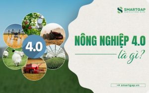 Nông nghiệp 4.0 là gì