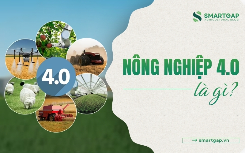 Nông nghiệp 4.0 là gì