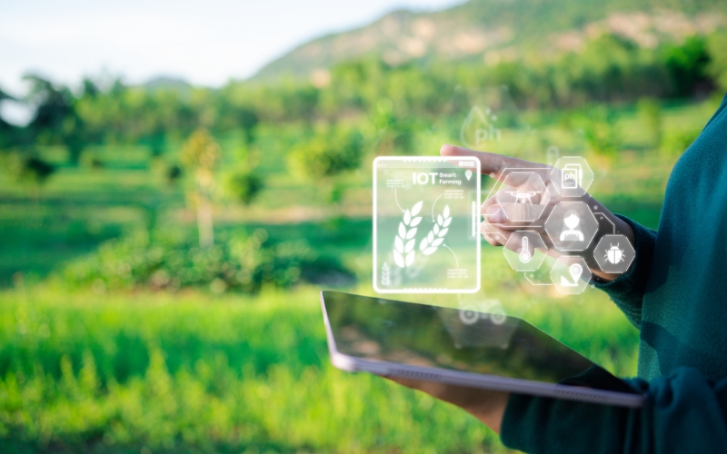 Thách thức khi triển khai IoT trong nông nghiệp