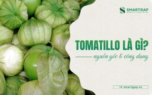 tomatillo là gì
