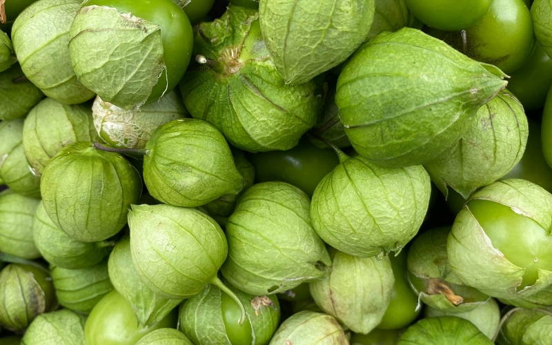 Tomatillo là gì