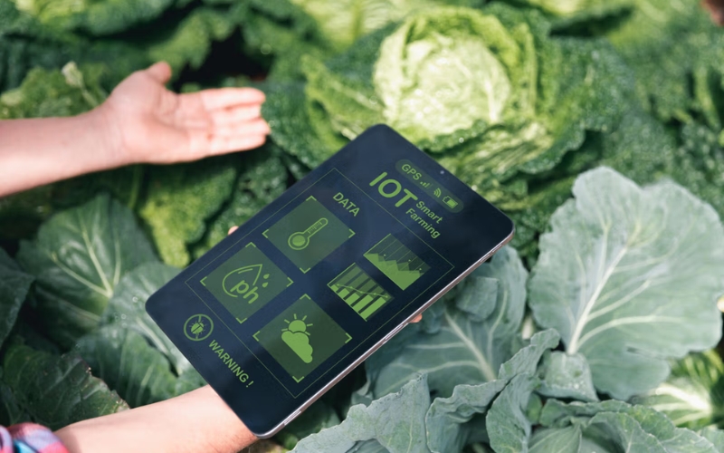 Ứng dụng IoT trong nông nghiệp tại Việt Nam