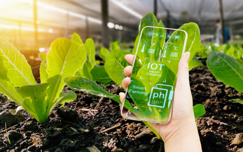 Ứng dụng IoT trong nông nghiệp trên thế giới