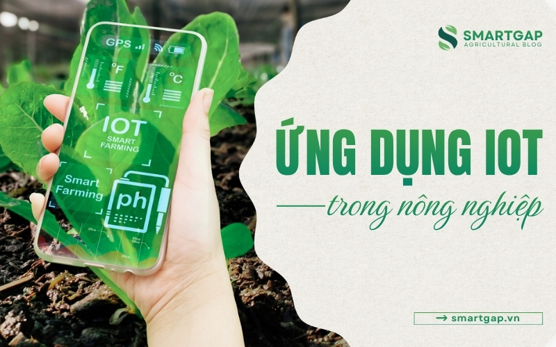 Ứng dụng IoT trong nông nghiệp