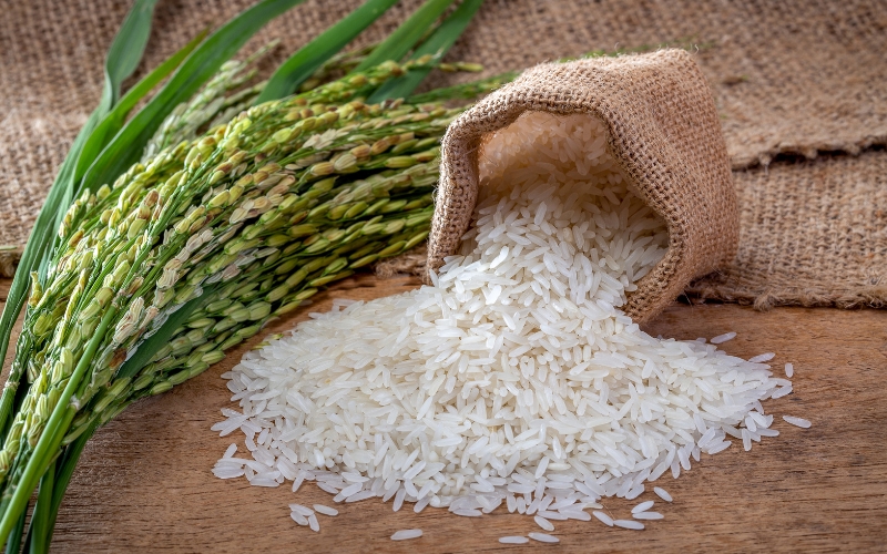 vai trò các vụ lúa trong năm ở miền Nam​