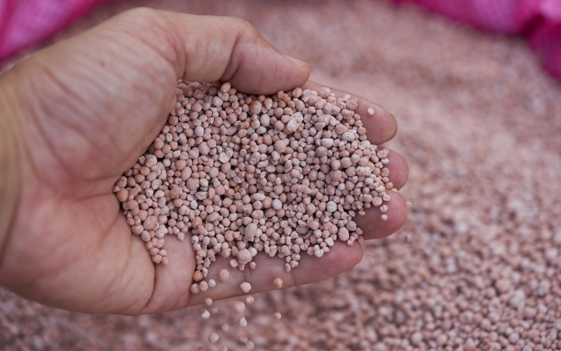 Cách bảo quản phân NPK 16-16-8