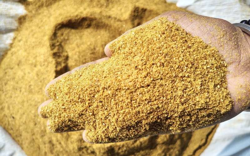 Cách bảo quản thức ăn DDGS