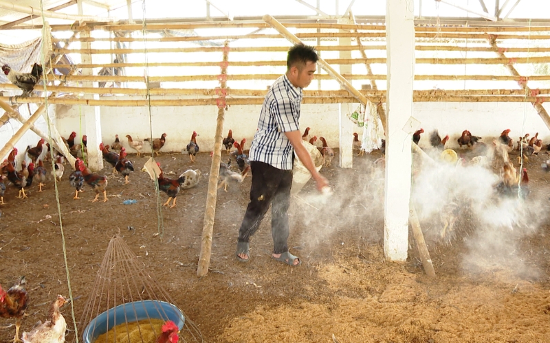 Hướng dẫn chăn nuôi hộ gia đình đúng quy định