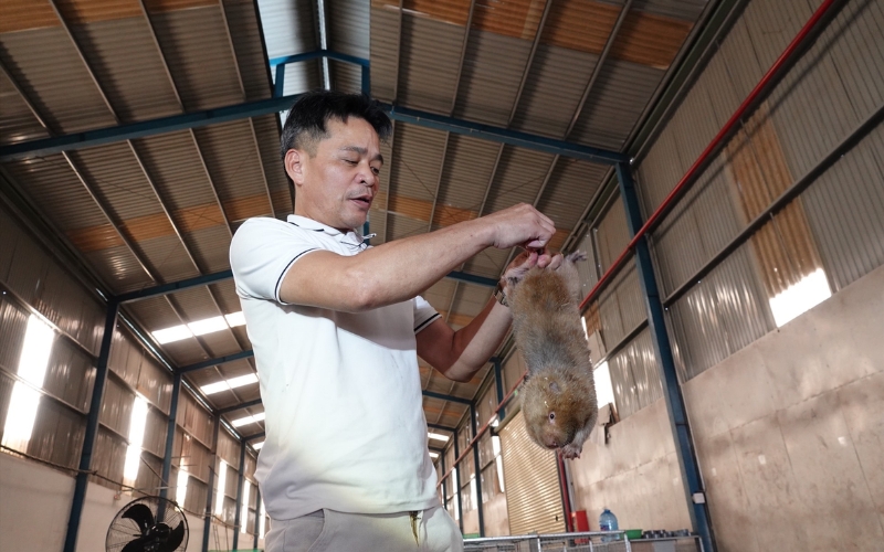 Kỹ thuật chăm sóc don