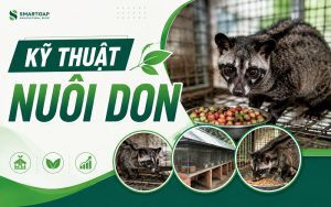 kỹ thuật nuôi don