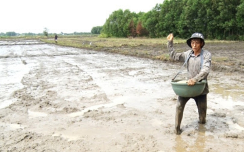 Sạ lan