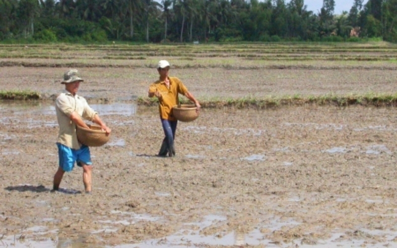Sạ ngầm