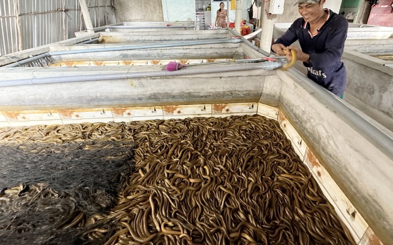 nên chọn mô hình chăn nuôi mới lạ nào