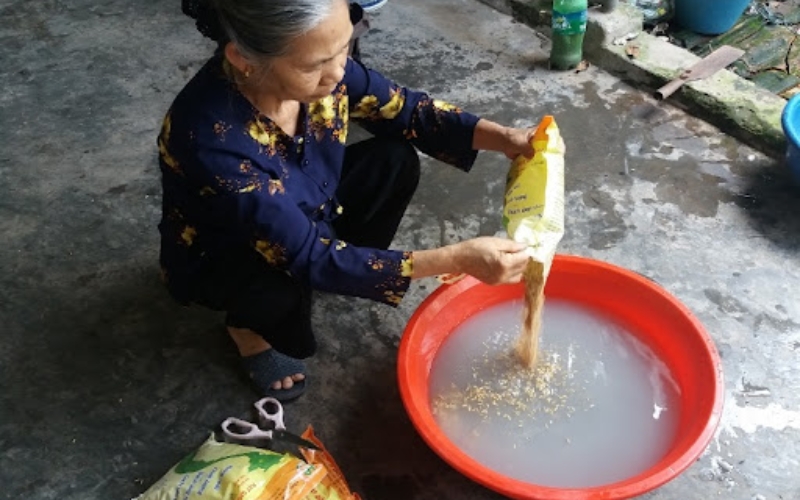Ngâm hạt giống lúa bằng nước vôi trong