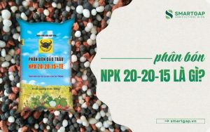 NPK 20-20-15 là gì