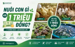 nuôi con gì với 1 triệu