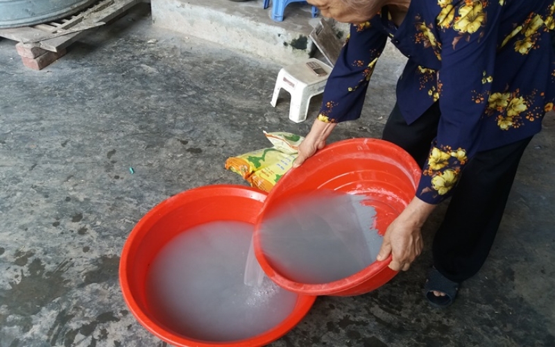 phá ngủ hạt giống lúa bằng phân supe lân