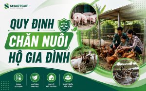 quy định chăn nuôi hộ gia đình