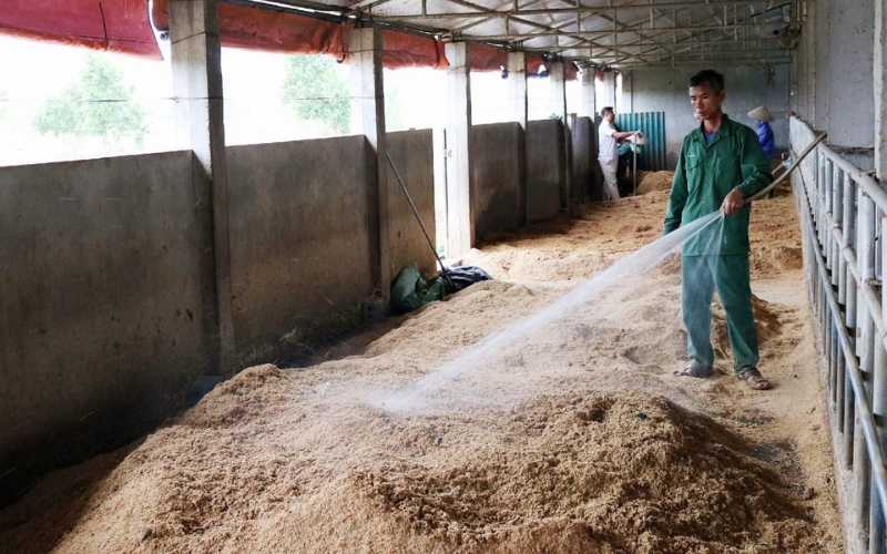 Quy định về xử lý chất thải chăn nuôi hộ gia đình