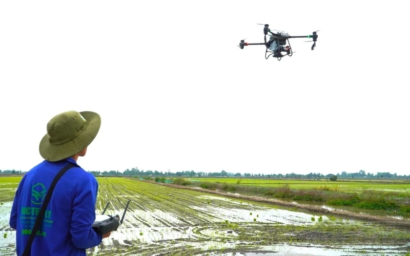 Sạ lúa bằng drone