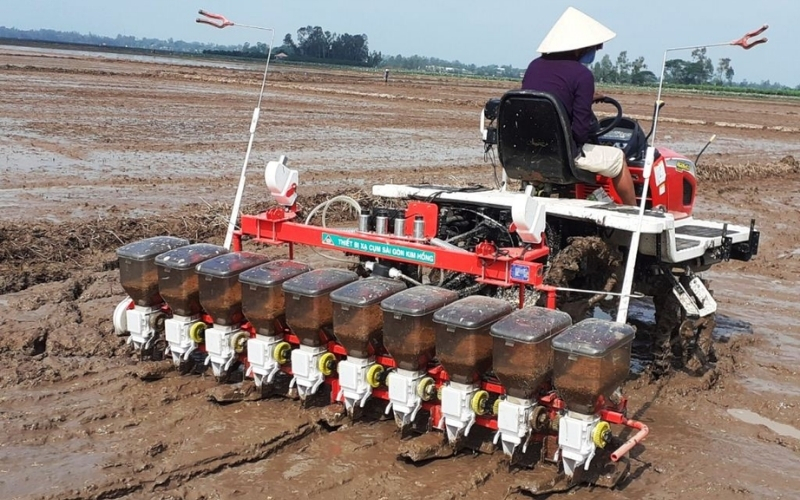 Sạ lúa bằng máy