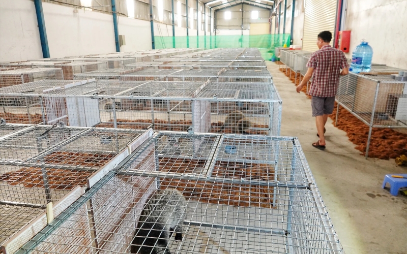Thiết kế chuồng trại nuôi don