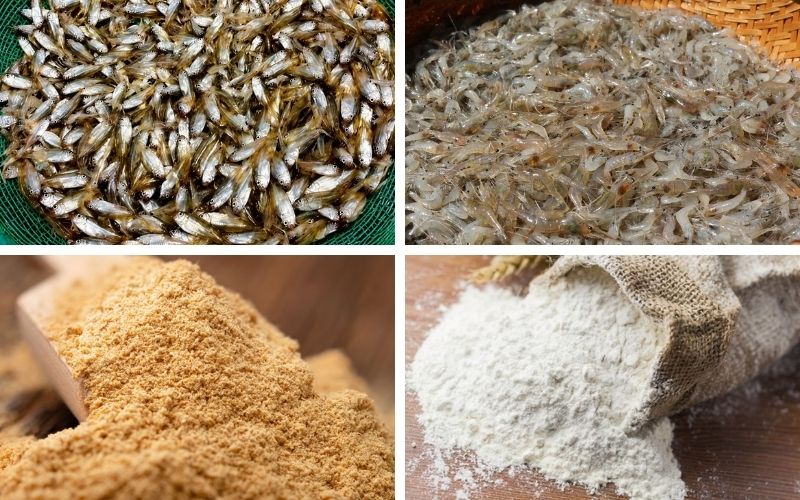 Thức ăn tự chế cho cá lóc bông Thái