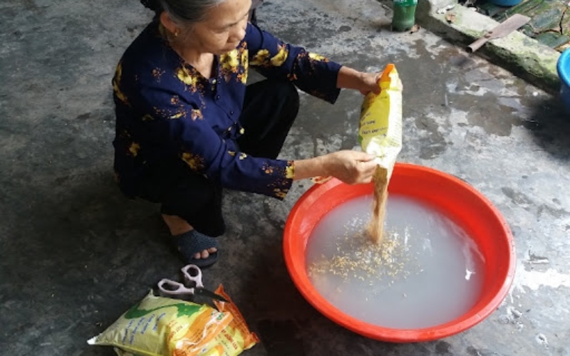 xử lý hạt giống lúa bằng nước vôi