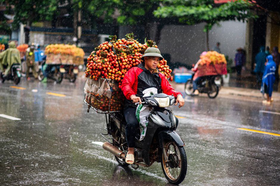 Thách Thức Bán Hàng Nông Sản Trong Thời Đại Số Thách Thức Bán Hàng Nông Sản Trong Thời Đại Số