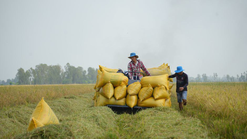 Vì Sao Phân Bón, Thức Ăn Và Vật Tư Nông Nghiệp Kém Chất Lượng Vẫn Lọt Ra Thị Trường
