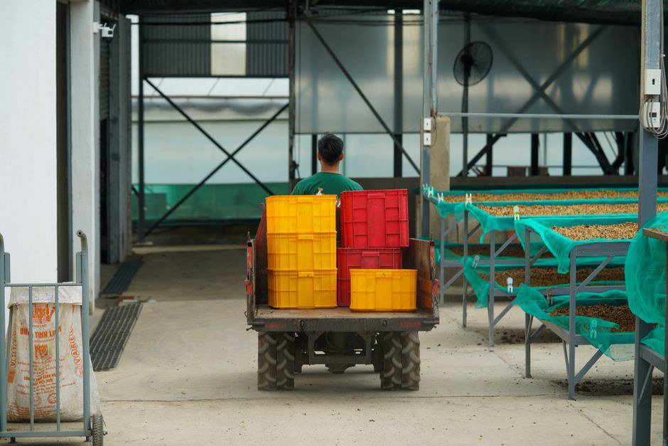 Máy sấy nông sản, máy tách hạt cũ là lựa chọn của nhiều hợp tác xã vốn hạn chế