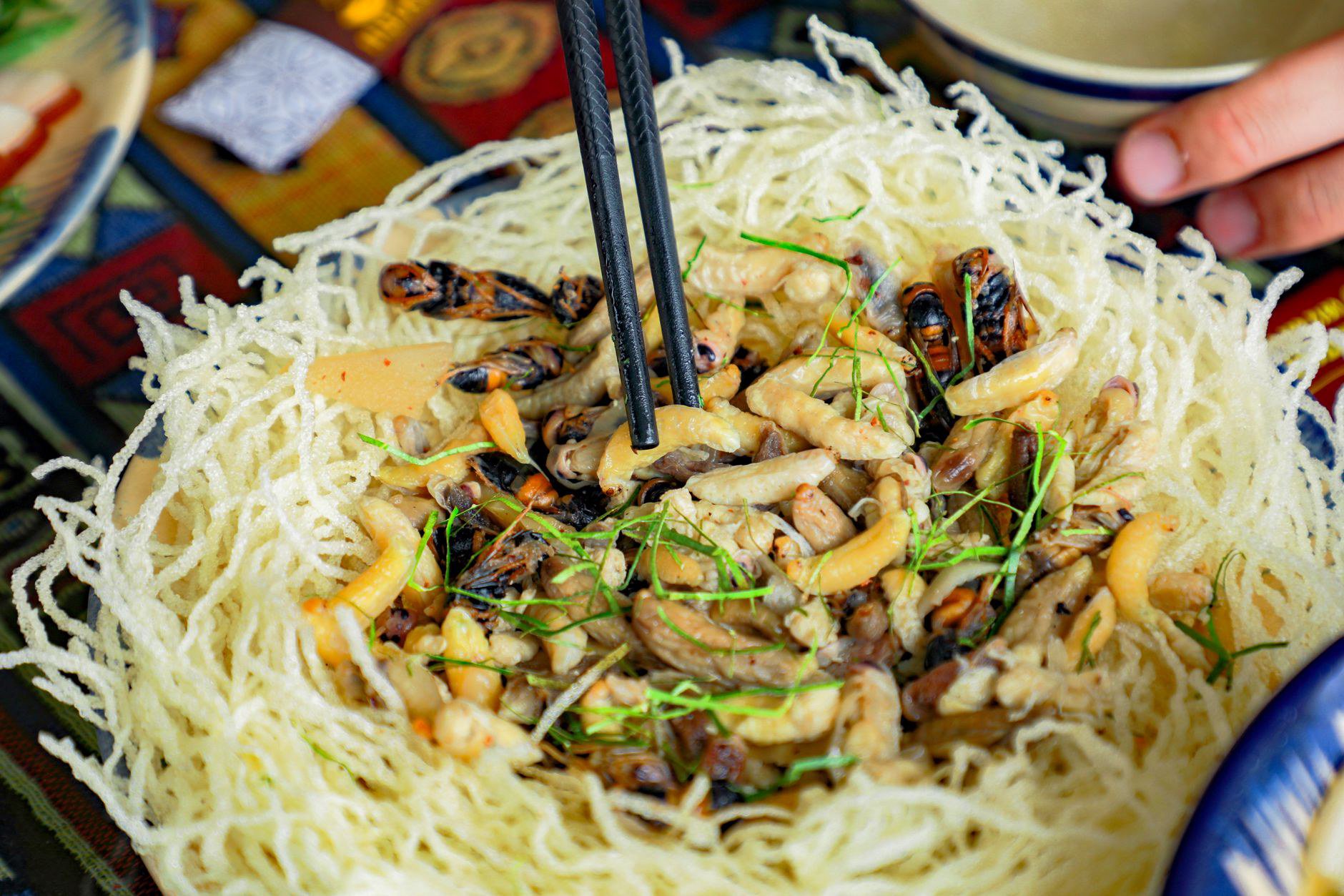 Xu hướng 1 — Thức ăn ủ lên men (TMR ủ chua, men vi sinh) Xu hướng 1 — Thức ăn ủ lên men (TMR ủ chua, men vi sinh)